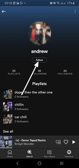Spotify app - follow the user