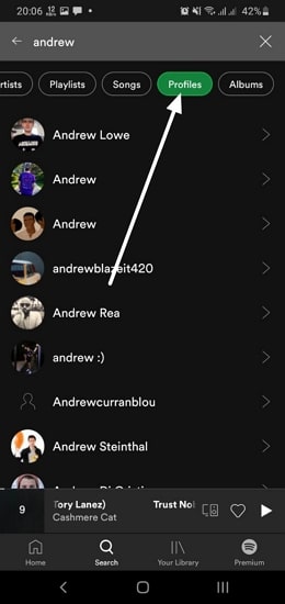 Spotify app - select profiles